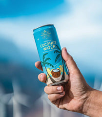 Harney & Sons Premium Coconut Water