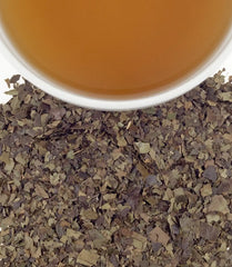 Guayusa